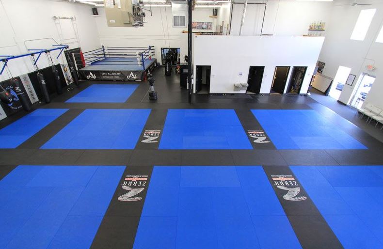 martial arts gym renovation